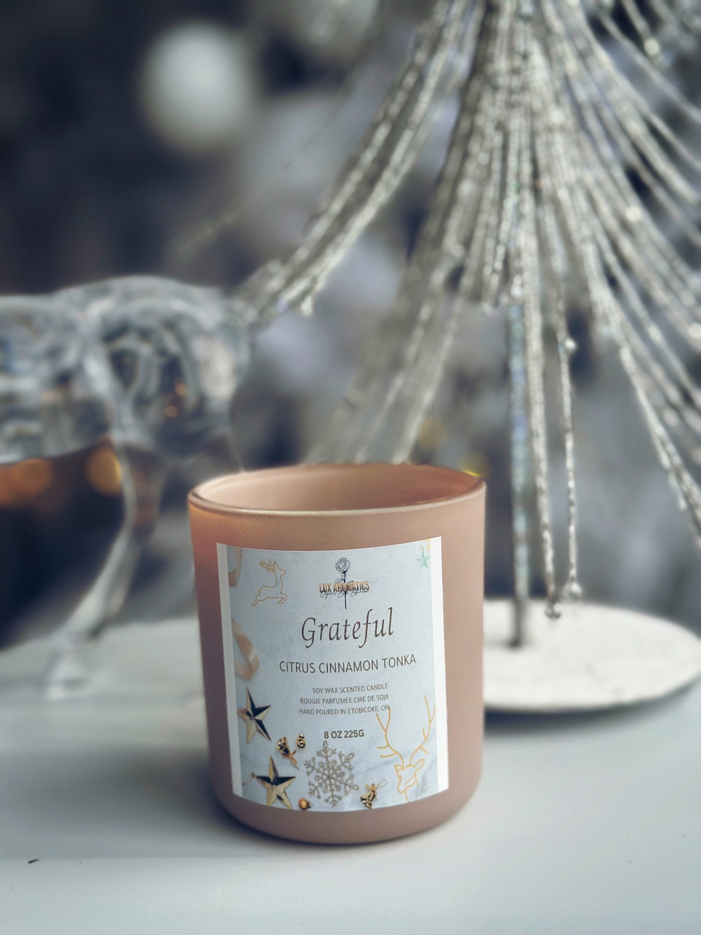 Grateful Candle!
A classic holiday scent that captures the senses! This luxurious soy candle is perfectly blended with the fresh aroma of orange zest, warm cinnamon and nutmeg, caramelized with brown sugar.